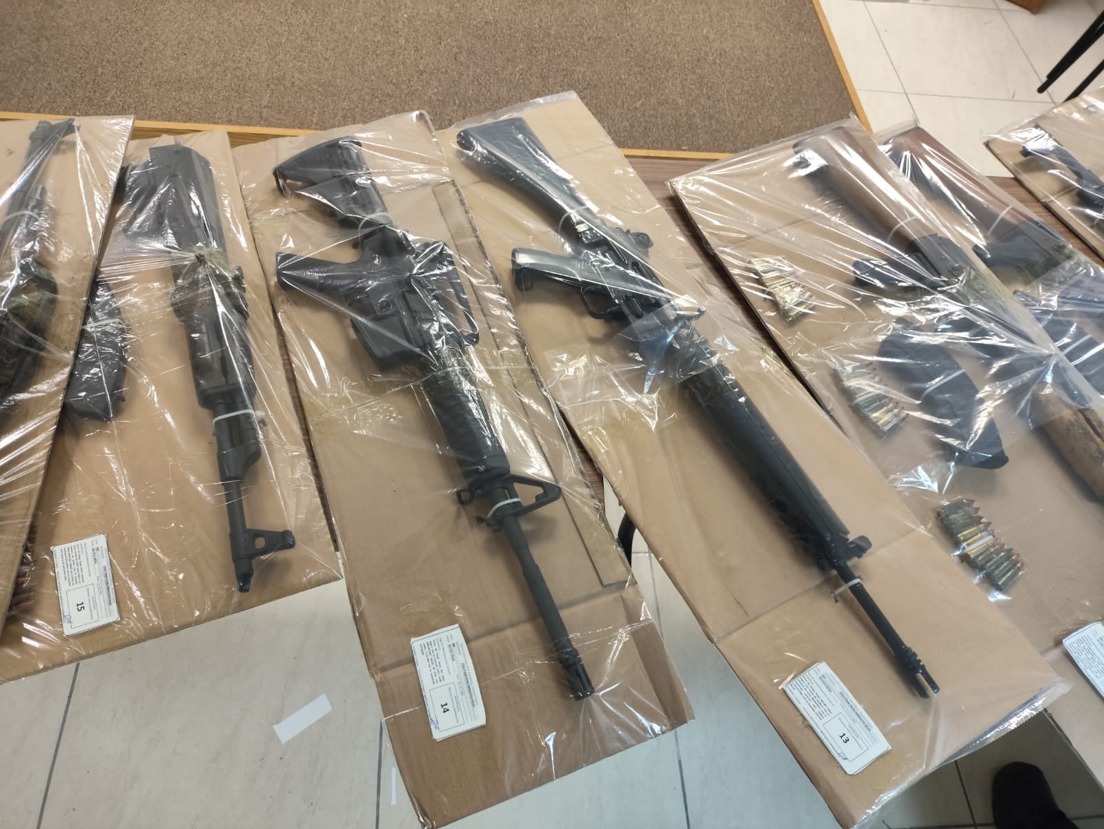 FIRT Olmeca detiene a 27 personas y decomisa armas, droga y animales exóticos en Tabasco.