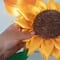 Flores amarillas eternas: Paso a paso de la manualidad usando listón