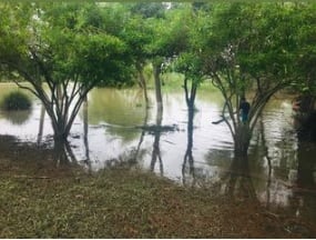 Presa en Rancho Los 3 Carnales