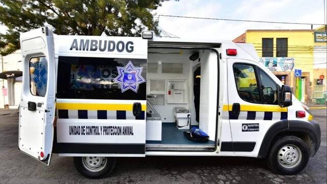 Ambudog