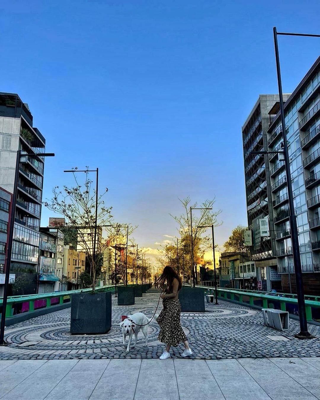 Natalia Téllez y su perro