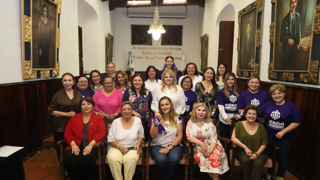 Mérida refuerza la Ley 3 de 3