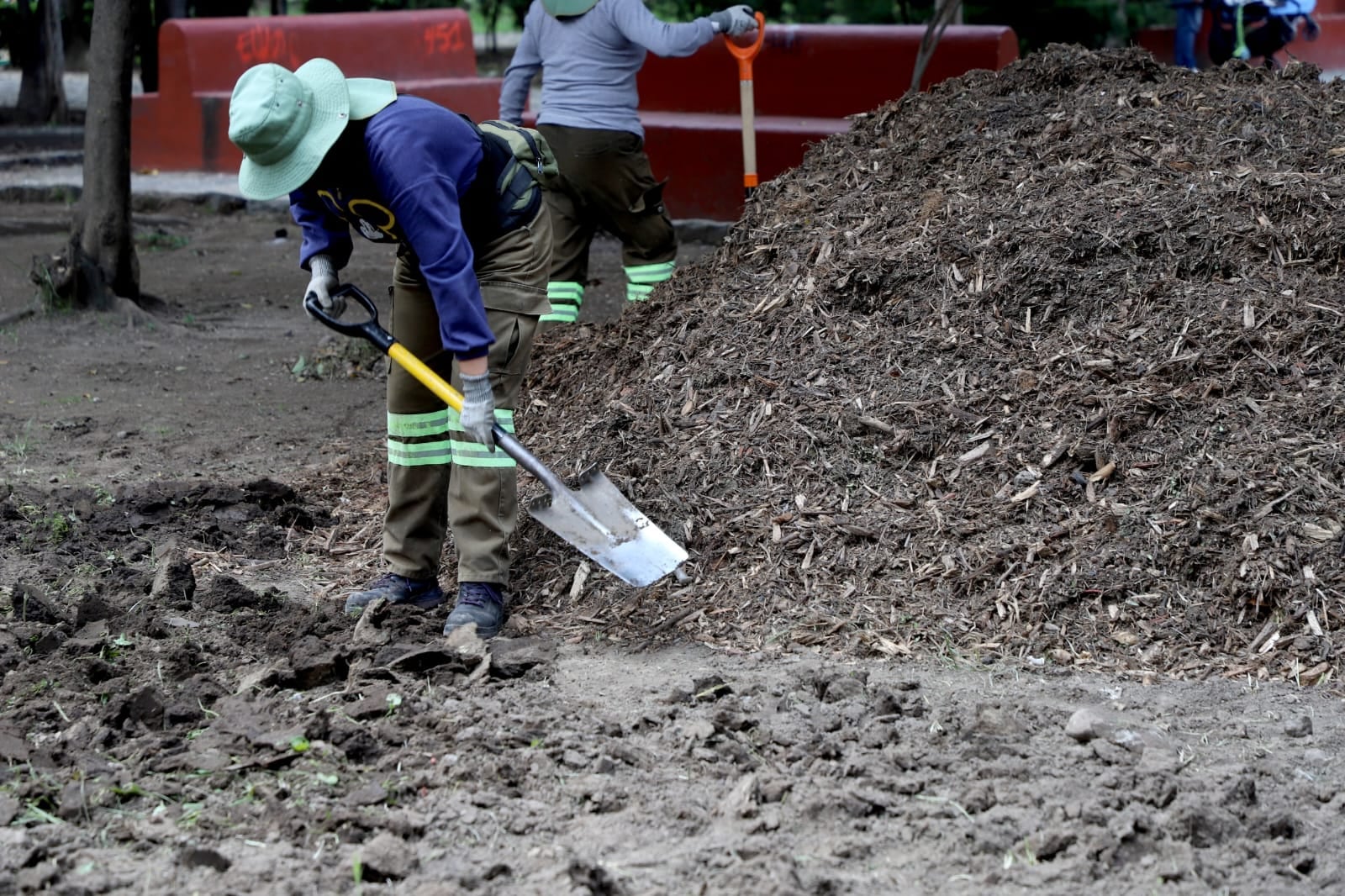 Rehabilitan histórica Plaza de la Conchita en Coyoacán sin alterar su identidad.