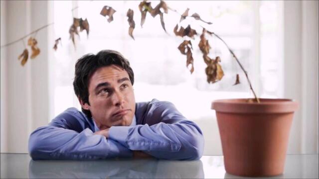 Disfunción eréctil