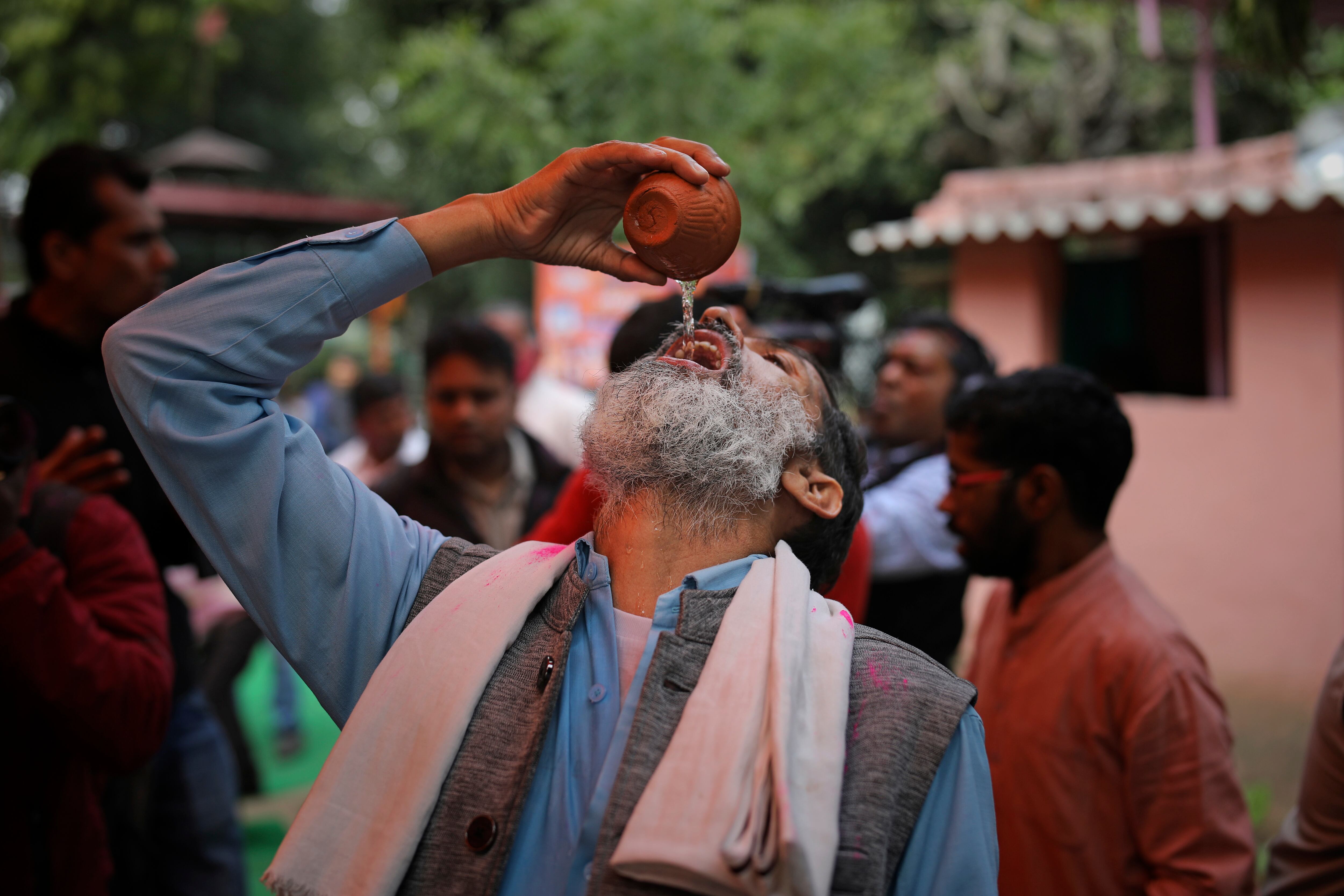 La orina de vaca se considera sagrada en la India