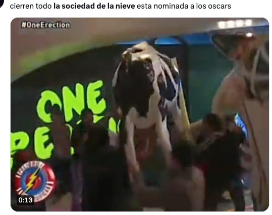 Memes festejan a La sociedad de la nieve por sus nominaciones al Oscar 2024