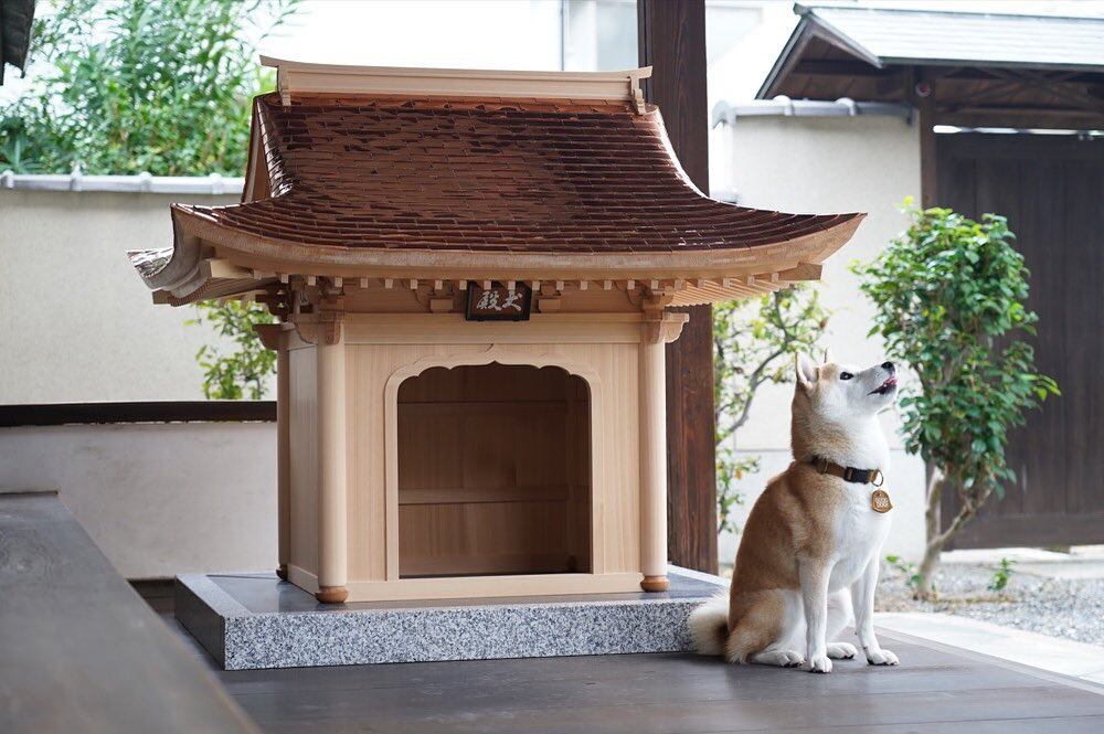 Inudono, la casa para perros más cara del mundo