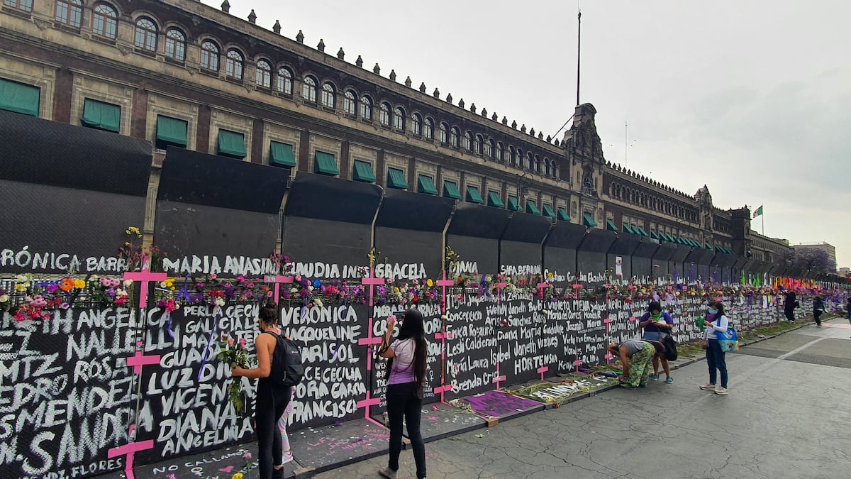 Las mujeres se quedaran quietecitas ante la ignominiosa valla que rodea Palacio Nacional?