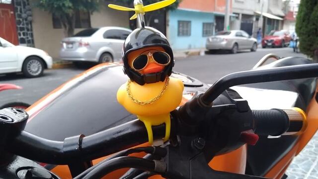 Patito mamalón para moto.