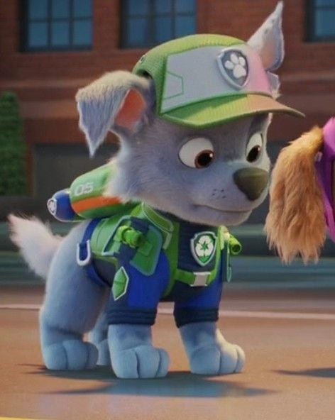 Rocky de Paw Patrol