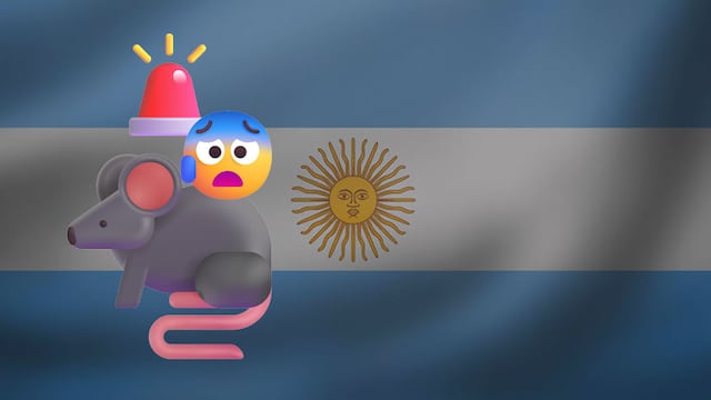 101 casos de hantavirus: las cifras que alarman en Argentina
