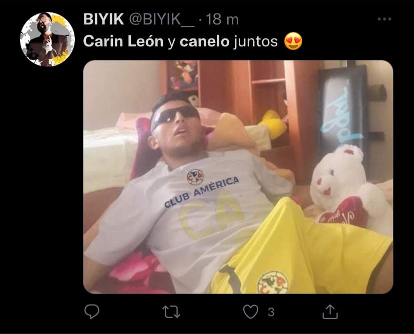 Algunos aficionados mostraron su cariño por Canelo y Carín León.