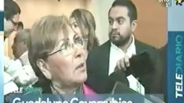 Guadalupe Cocarruvias