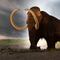 Mamut lanudo pudo haber dado la vuelta al mundo 2 veces