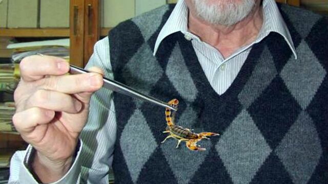 Científicos de la UNAM crean antibiótico contra la tuberculosis con veneno de alacrán