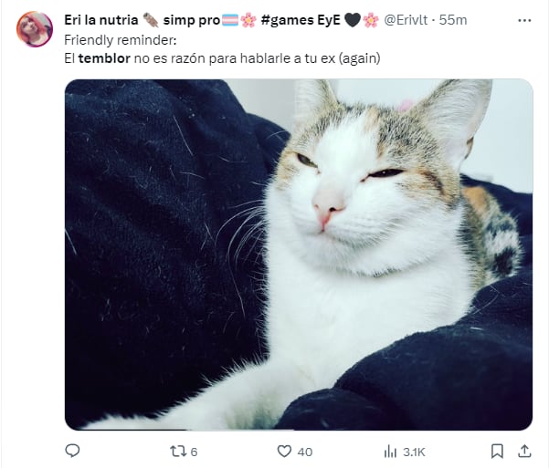 Memes por el sismo del 14 de diciembre