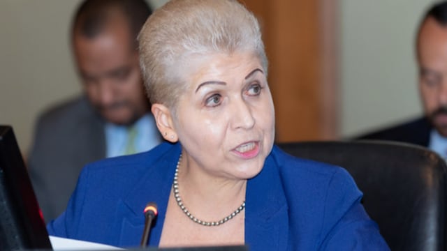 Luz Elena Baños, Embajadora de México en la OEA