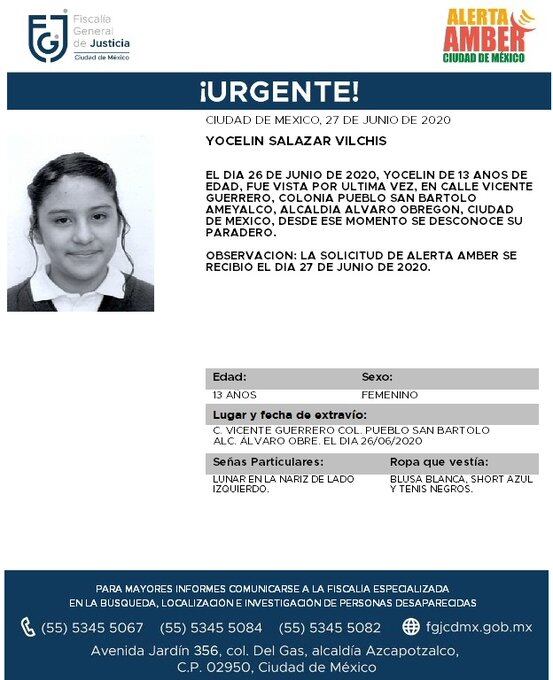 Ficha de búsqueda de Yocelin.