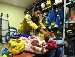 Los bomberos organizan sus nidos para enviarlos a Australia.