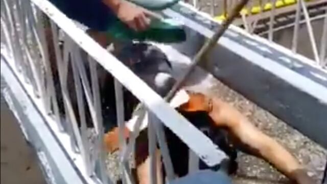 Así desinfectan a una chica.