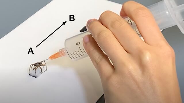 Araña robot zombie o necrobot
