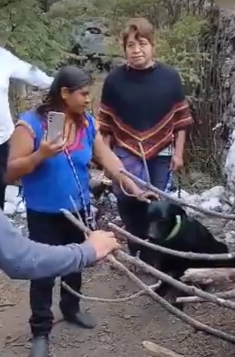 Turitas viven momentos de terror en Temoaya