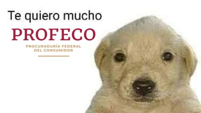 Profeco se corona con memes por el caso Cartier y los aretes que le vendió baratísimos a un mexicano