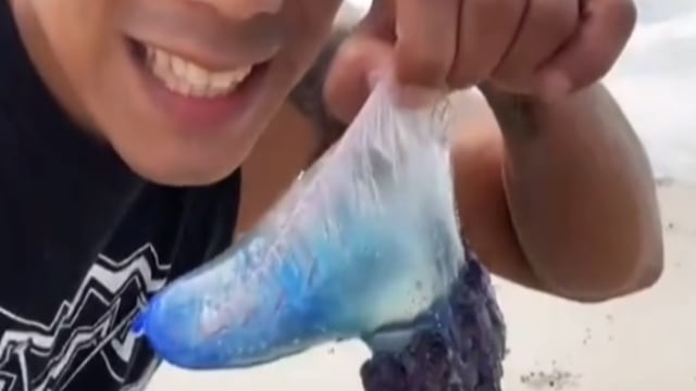 TikToker lame medusa