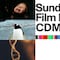 ¿Qué se celebra el 25 de abril? Hoy inicia Sundance Film Festival 2024, es Día Mundial de los Pingüinos, Día Internacional del ADN y Día Internacional de la lucha contra el Maltrato Infantil