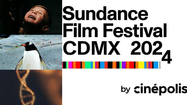 Este 25 de abril es el Sundance Film Festival 2024, es Día Mundial de los Pingüinos, Día Internacional del ADN y Día Internacional de la lucha contra el Maltrato Infantil