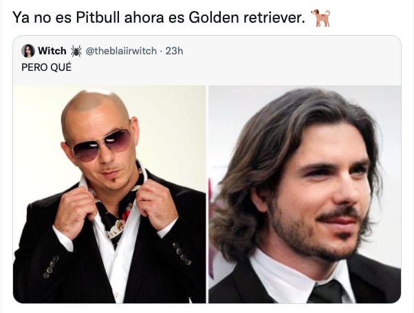 Meme de Pitbull con cabello largo
