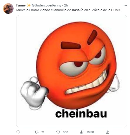 Memes concierto Rosalía en la Zócalo de la CDMX