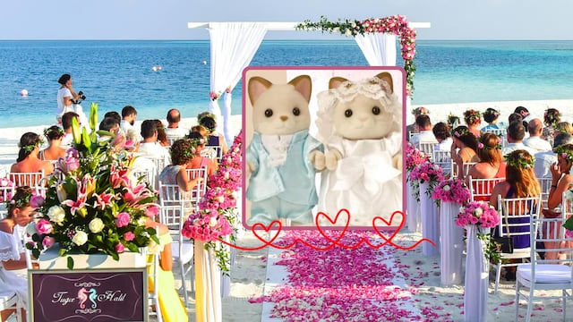 ¿Quieres una boda con estilo ternurín? Te damos fecha, dónde, precio y más para hacerla realidad.