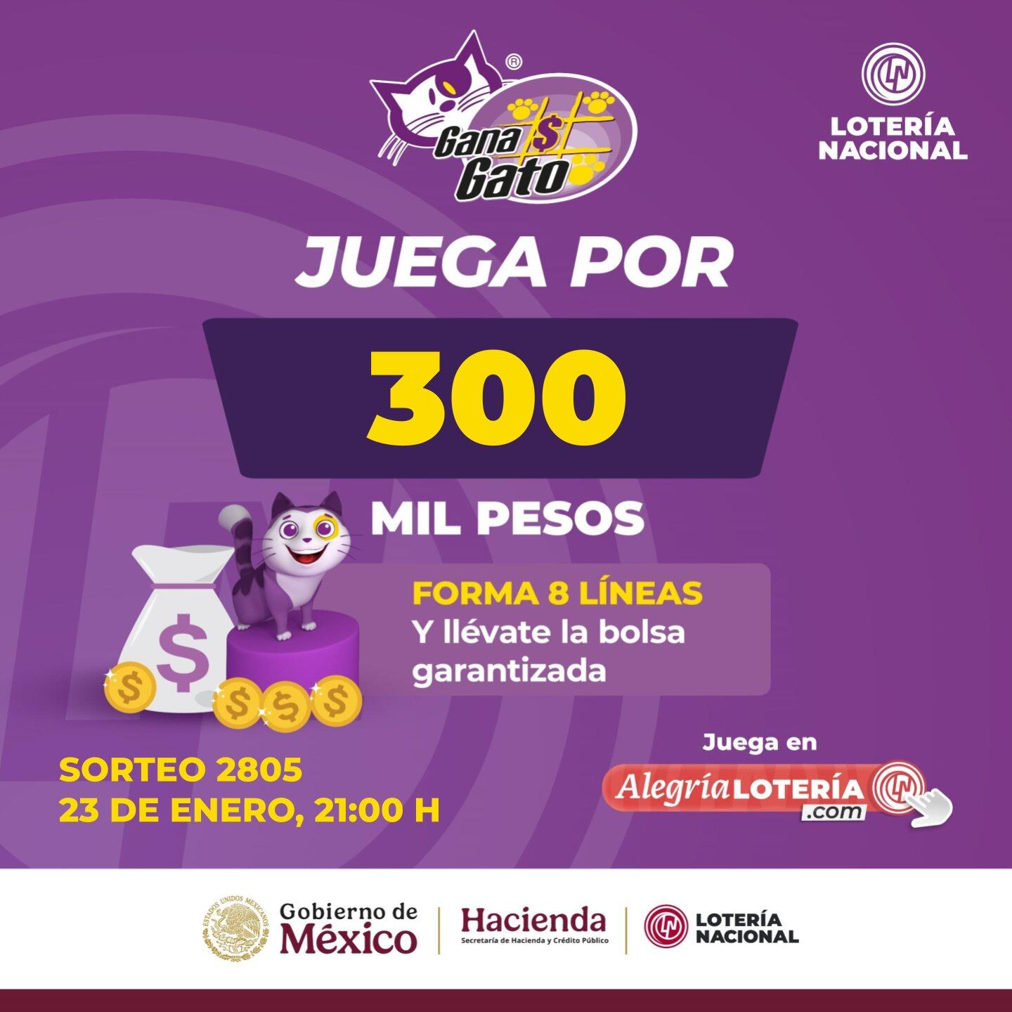 Resultados Sorteo Gana Gato 2805 de Lotería Nacional: Estos son los números ganadores