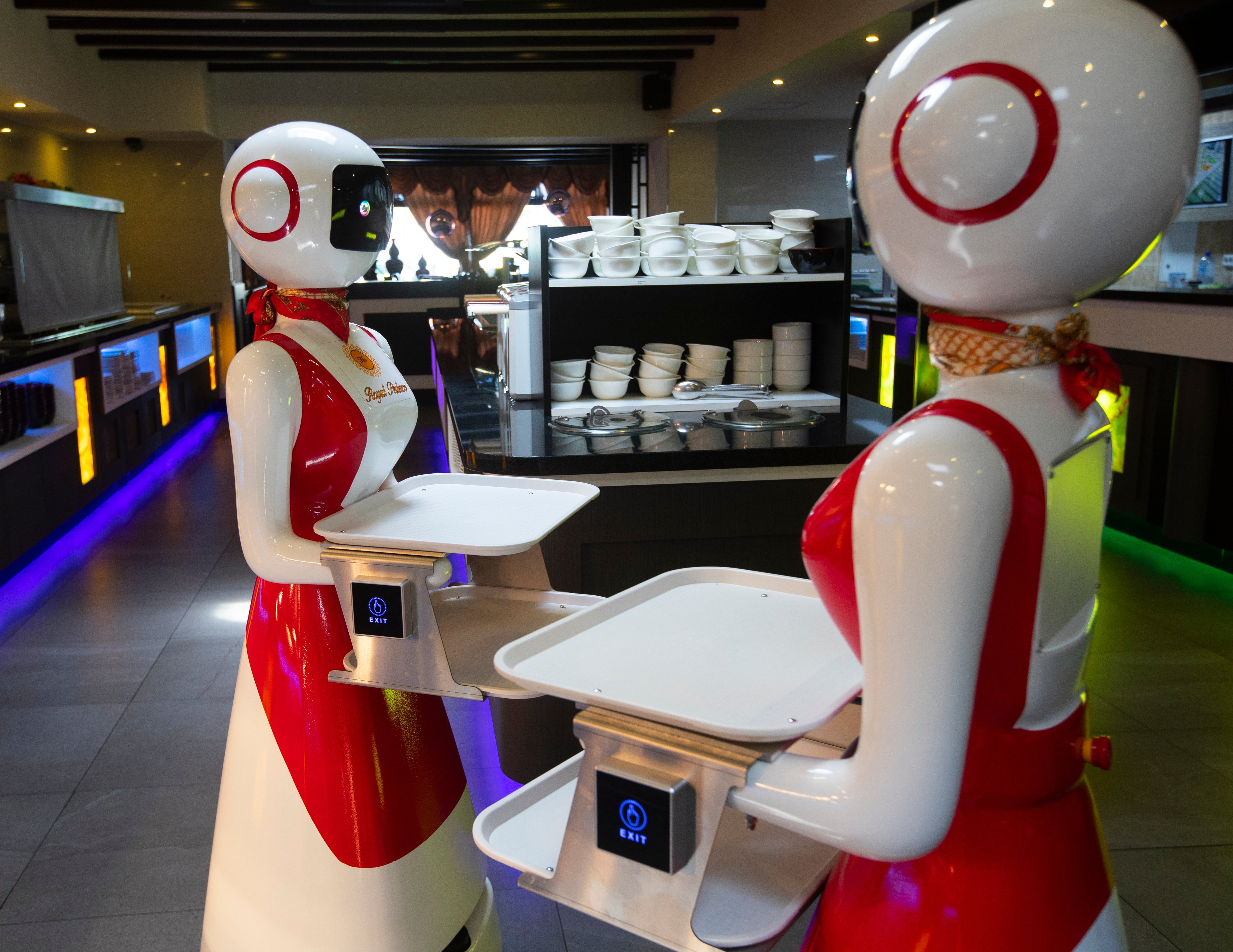 Robots
