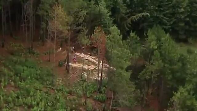 Talamontes arrasan con las Lagunas de Zempoala