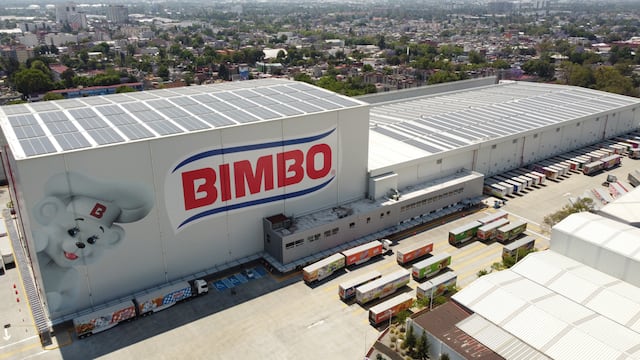 Bimbo: Informe Anual
