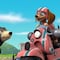 Las cachorras de Paw Patrol tienen aventuras: 14 minutos de capítulos cortos en español para ver en YouTube por el Día de Escapar y tener una Aventura
