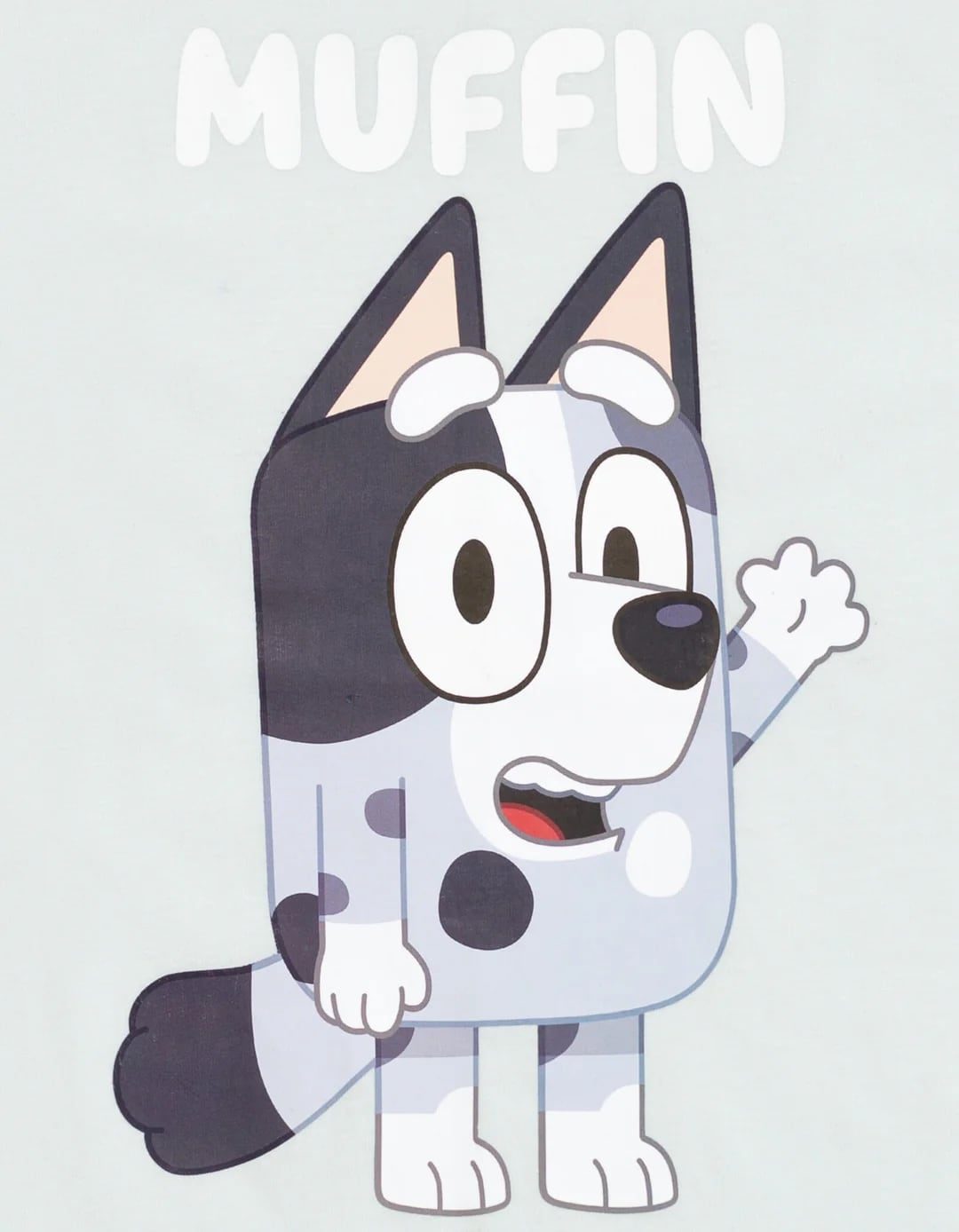 ¿Quién es Muffin en Bluey? Edad, género, raza, parentesco y más