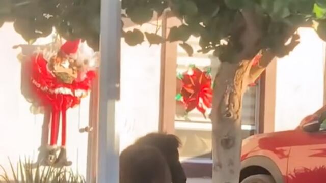 Torreón es un rancho