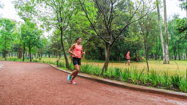 Pista de corredores "El Sope" Chapultepec