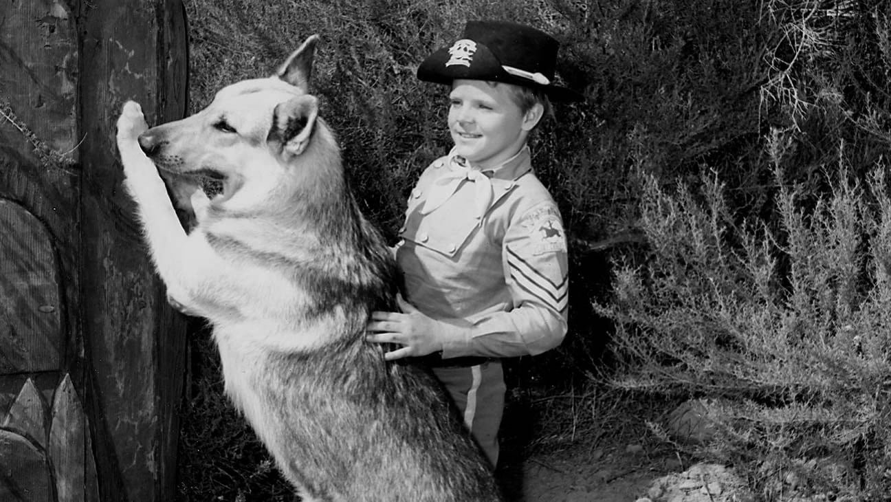 Rin Tin Tin