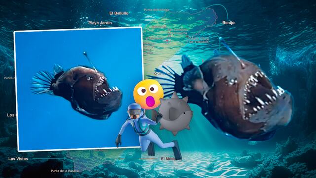 Avistamiento de pez diablo negro cerca de la costa de Tenerife