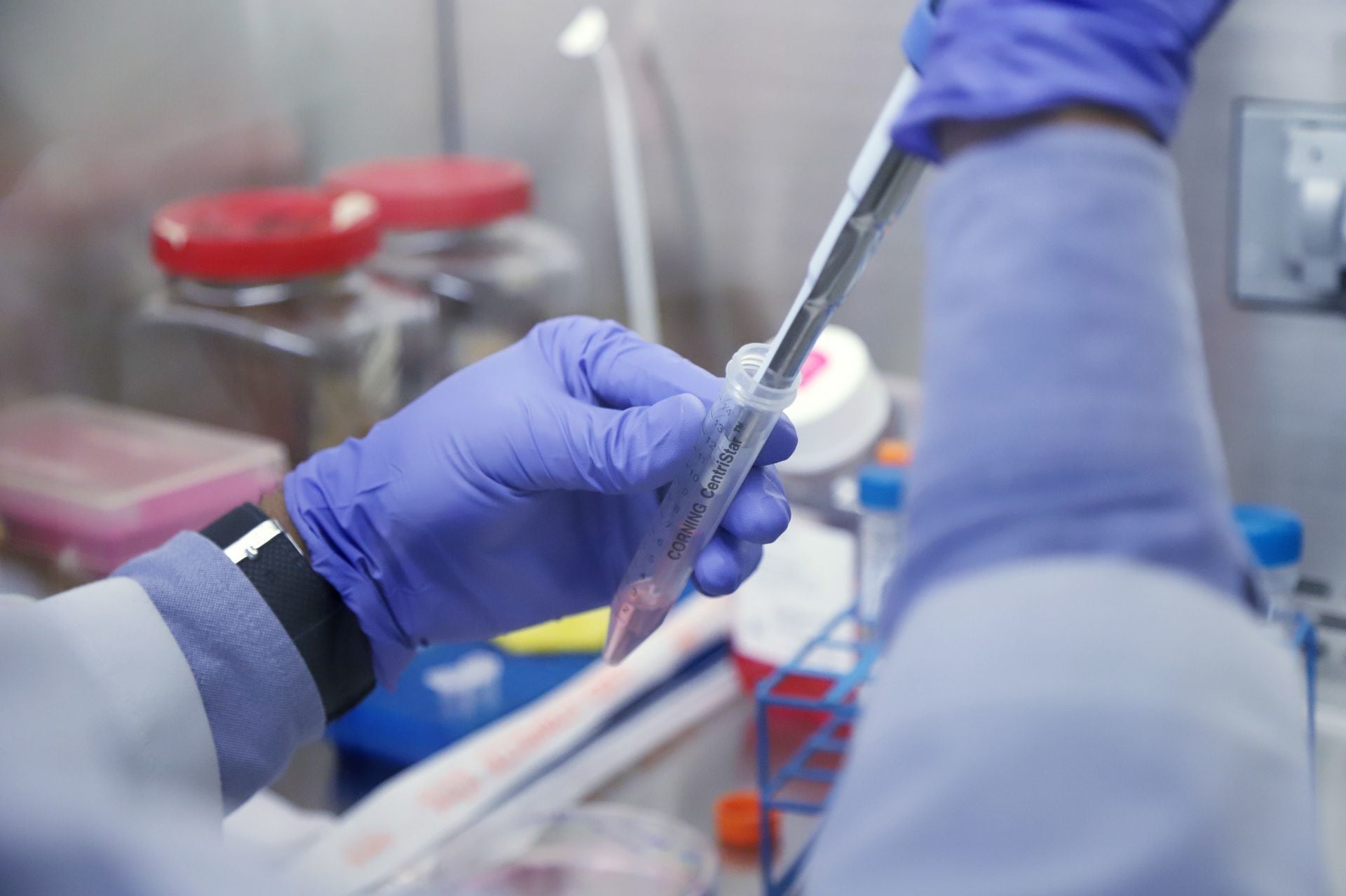 La Unidad de Investigación Médica en Enfermedades Oncológicas del IMSS cuenta con biólogos que son investigadores de tiempo completo y dirigen proyectos enfocados a cáncer cervicouterino, de mama, leucemias y diversas neoplasias.