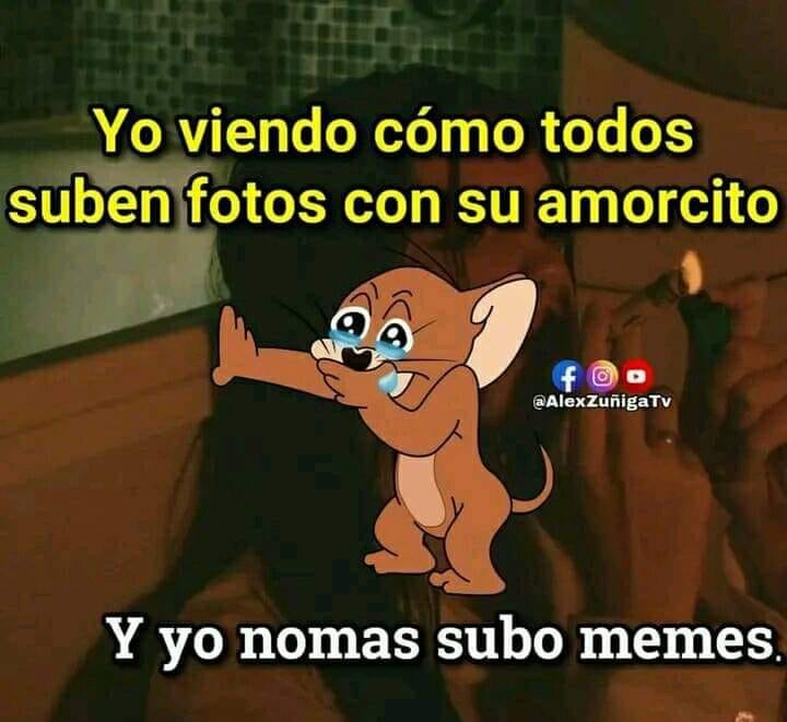 Memes 14 de febrero