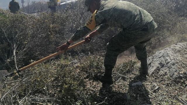 Incendio en El Mante provoca que se active Plan DN-III