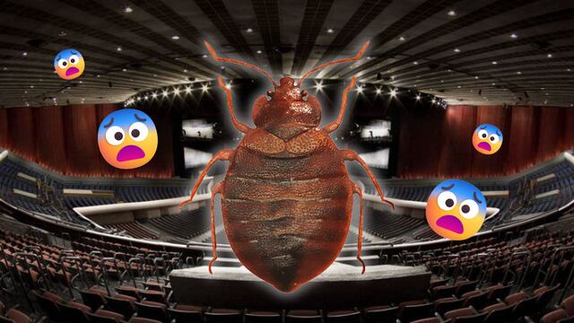 Chinches en el Auditorio Nacional