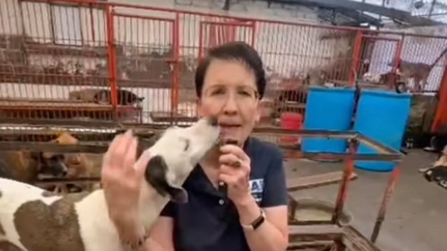 Carmela Rivero, presidenta de Fundación Haghenbeck