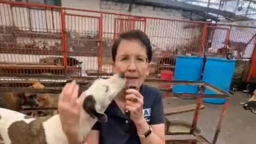 ¿Quién es Carmela Rivero? Directora de la Fundación Antonio Haghenbeck