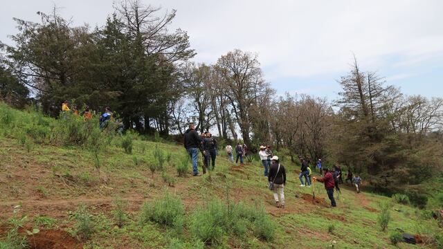 Texcoco inicia Súmate Sembrando Vida 2024